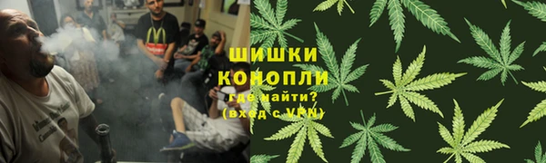 spice Алзамай