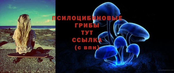 шишки Снежинск